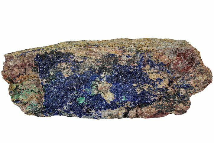 Azurite and Malachite Association on Matrix - Morocco #217821